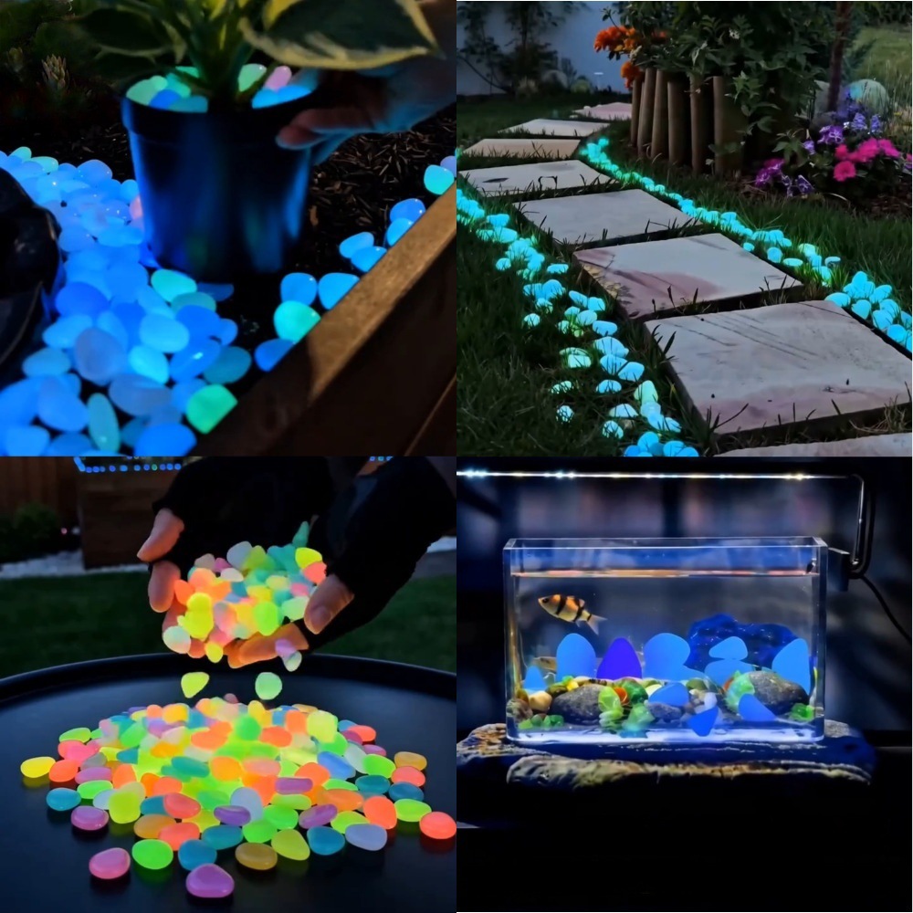 Aquarium Fish Cartoon - Colorful Glow In The Dark Luminous