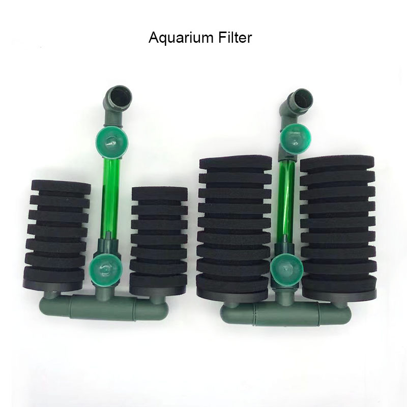 Aquarium Fish For Beginners - High Quality Green Aquarium Fish Tank