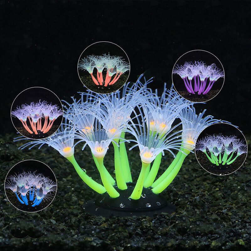 Silicone Glowing Landscape Art - Aquarium Fish Enrichment review and price