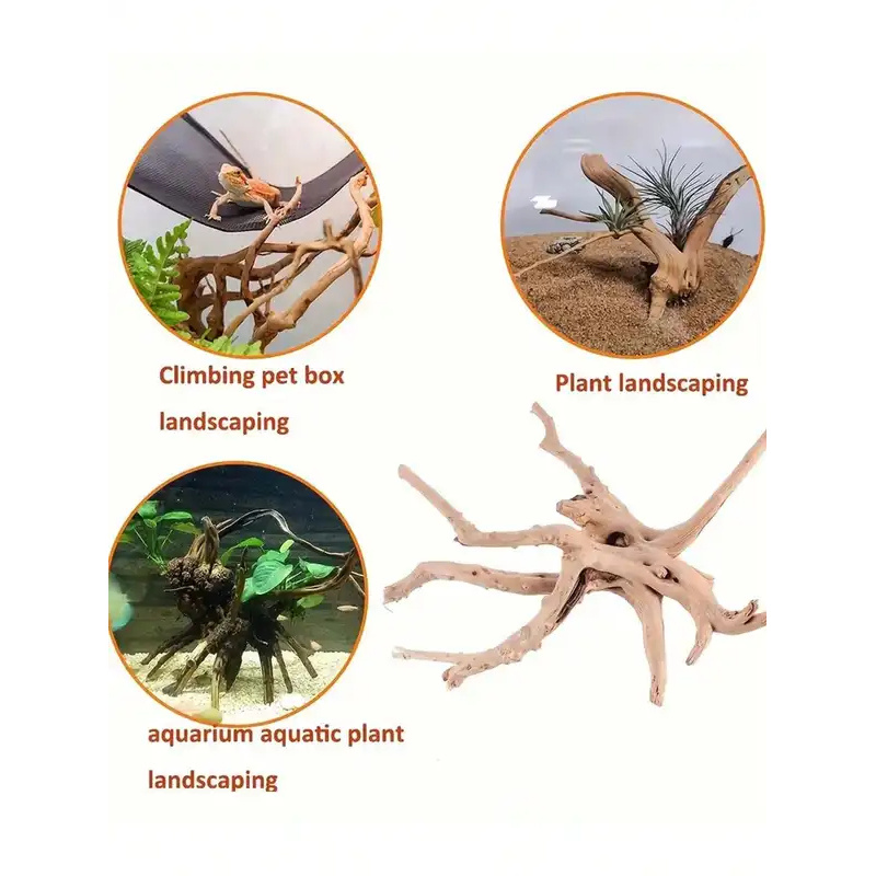 Natural Driftwood for Aquarium - Aquarium Fish Cartoon review and price