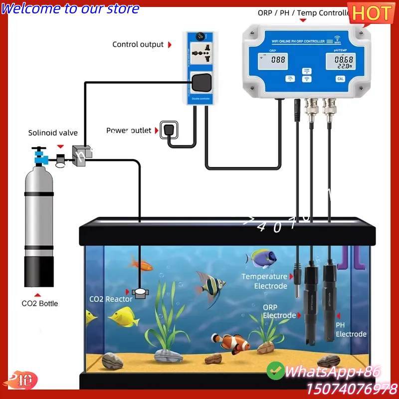 2026 Wireless WiFi Online Cont - Aquarium Fish In Online review and price