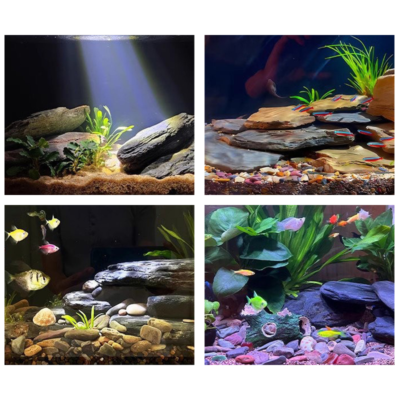 500/1000g Fish Tank Landscape  - Aquarium Fish Saltwater review and price