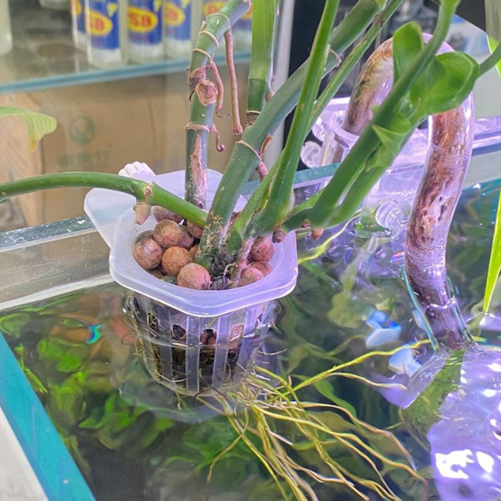 Hydroponic Plant Hanging Holde - Aquarium Fish Elevator review and price
