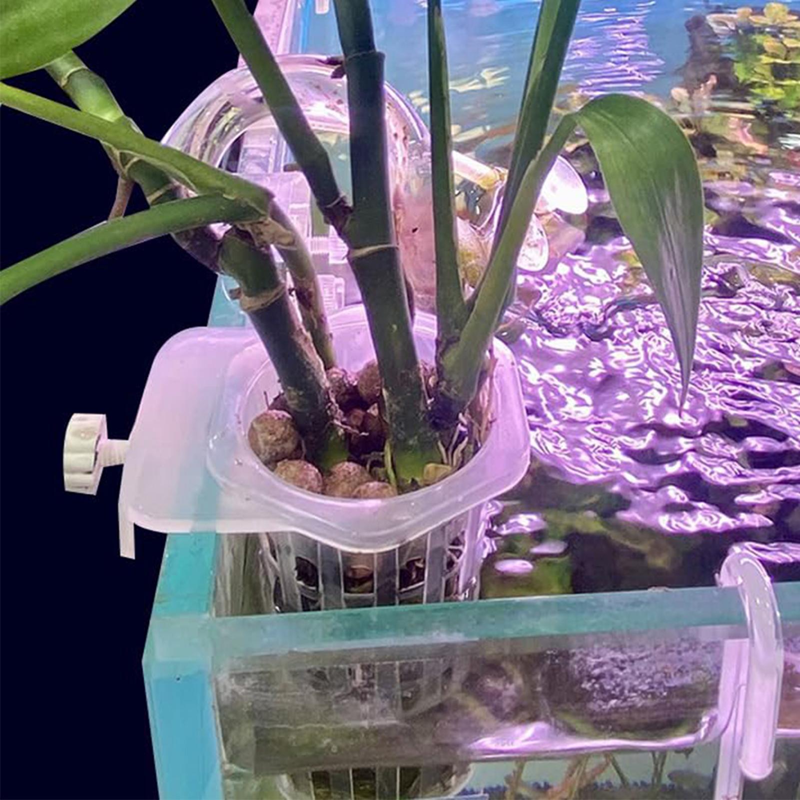 Hydroponic Plant Hanging Holde - Aquarium Fish Elevator review and price