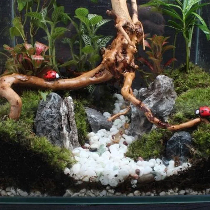 Natural Tree Trunk Driftwood A - Aquarium Fish Cartoon review and price