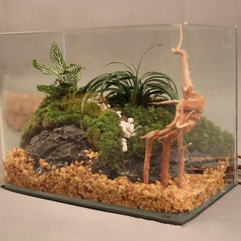 Natural Tree Trunk Driftwood A - Aquarium Fish Cartoon review and price