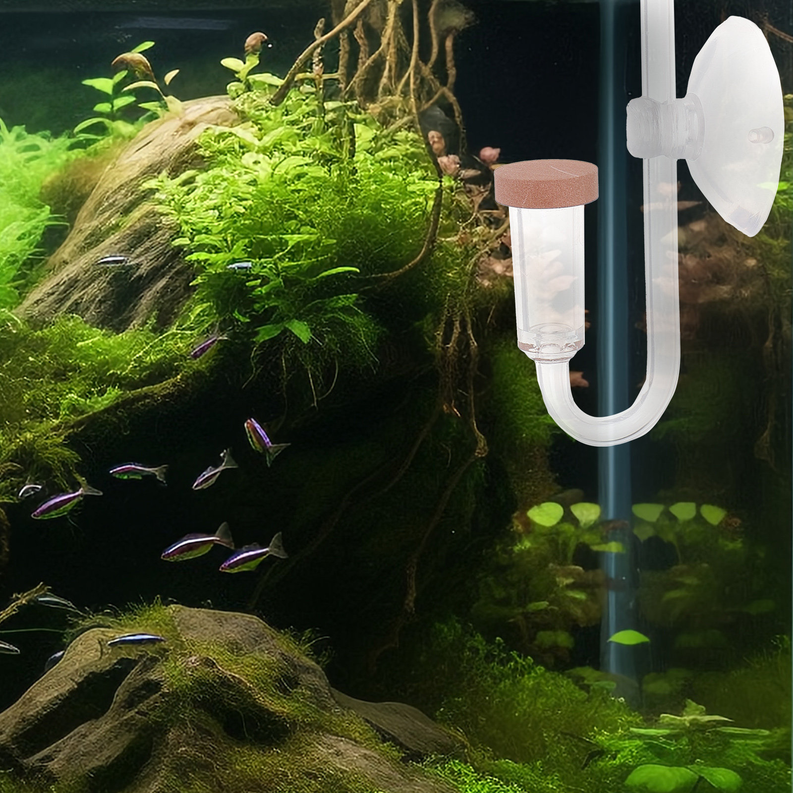 Fish Tank Co2 Refiner Transpar - Aquarium Fish Rate review and price