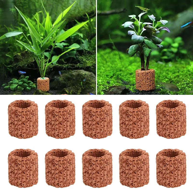 Aquatic Plant Fixed Ring for A - Aquarium Fish Cartoon review and price