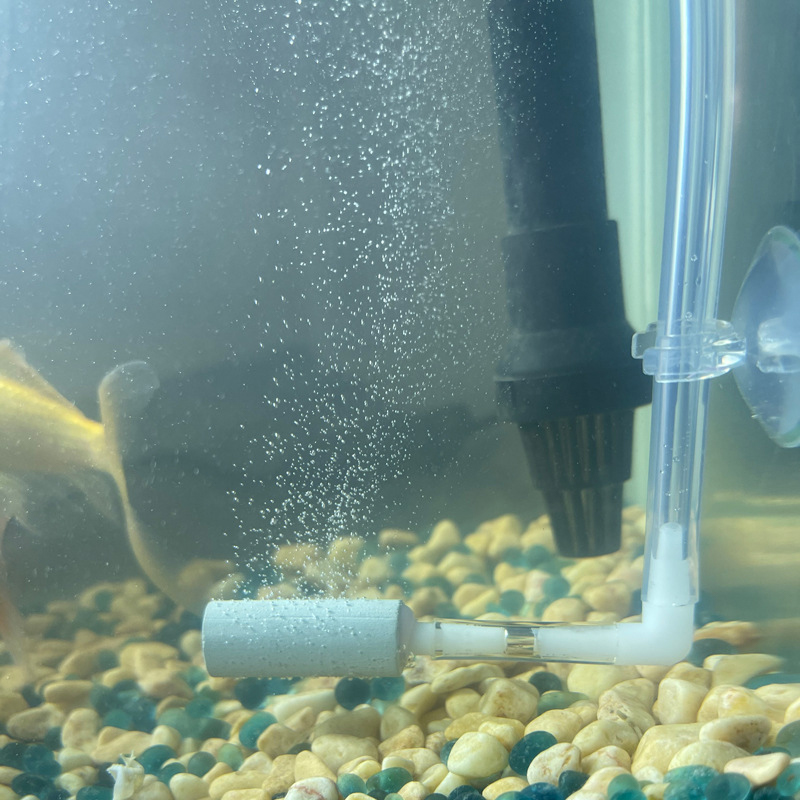 CO2 System Regulator Excellent - Aquarium Fish Rate review and price