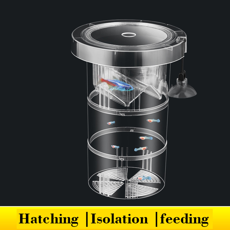 Floating Fish Breeding Isolati - Box Fish In Aquarium review and price
