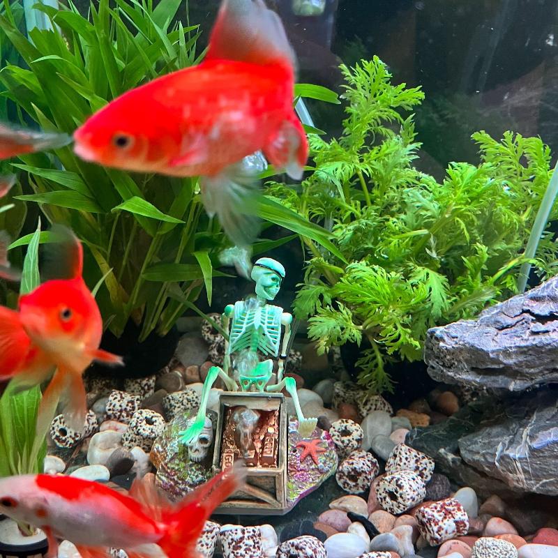 Fish Tank Aerobic Landscape Bu - Aquarium Fish Cartoon review and price