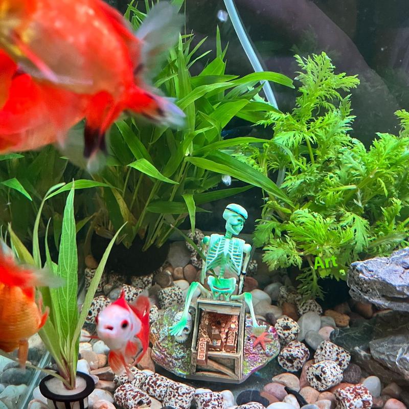 Fish Tank Aerobic Landscape Bu - Aquarium Fish Cartoon review and price