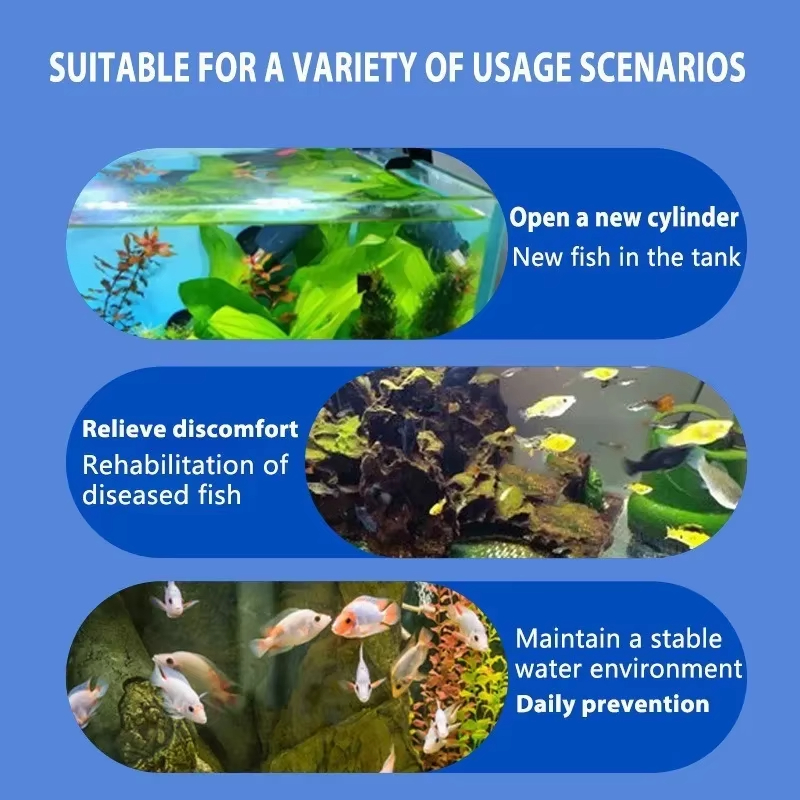 SIKEZHAN Fish Disease Treatmen - Aquarium Fish Saltwater review and price