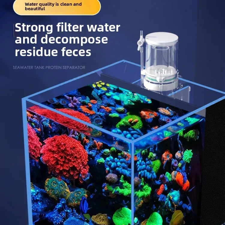 110V-240V New Mini Aquarium Pr - Aquarium Fish For Beginners review and price