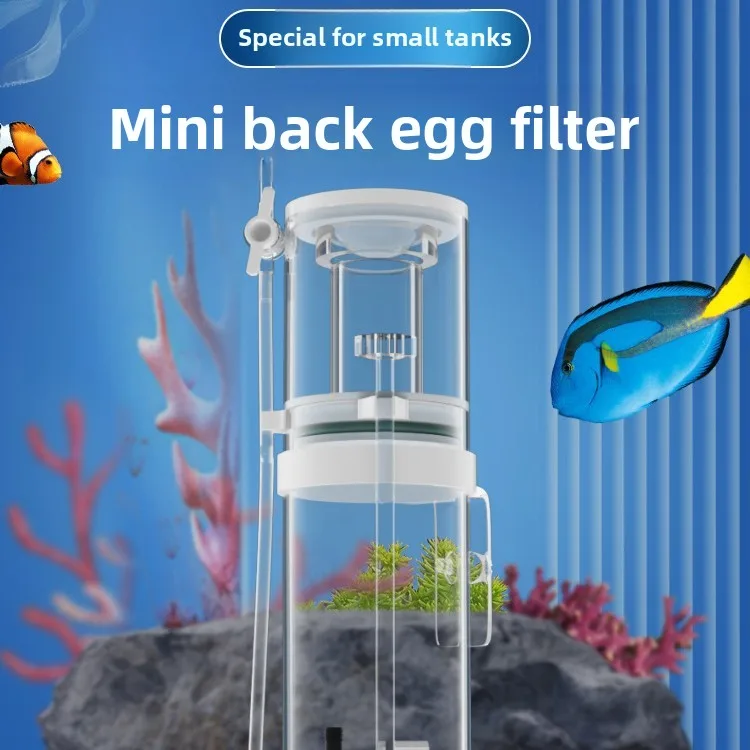 110V-240V New Mini Aquarium Pr - Aquarium Fish For Beginners review and price
