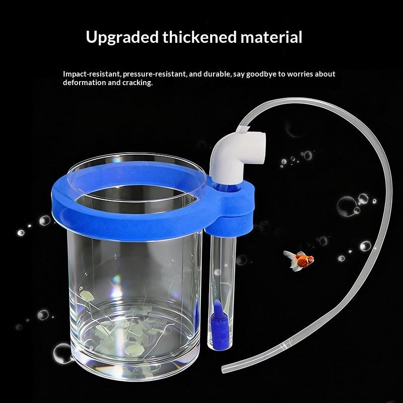 Transparent Acrylic Fish Breed - Box Fish In Aquarium review and price