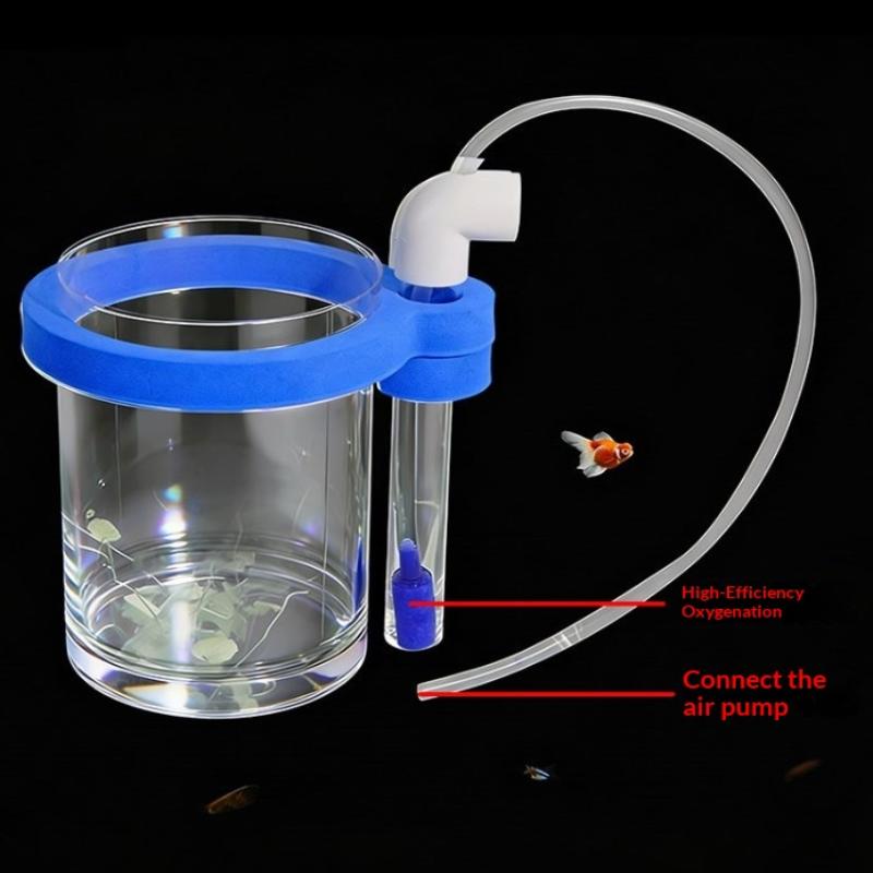 Transparent Acrylic Fish Breed - Box Fish In Aquarium review and price