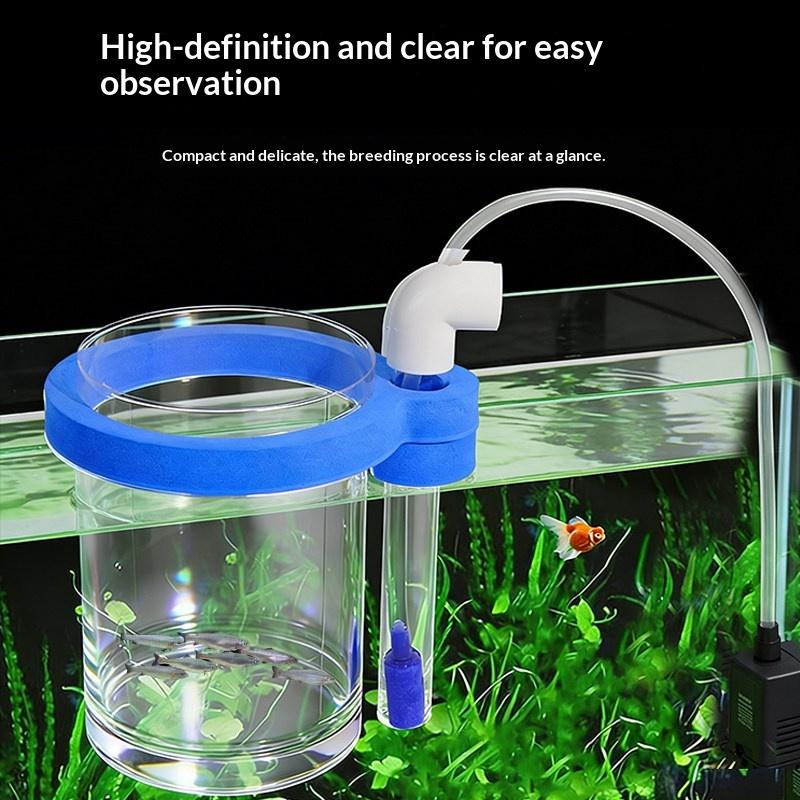Transparent Acrylic Fish Breed - Box Fish In Aquarium review and price