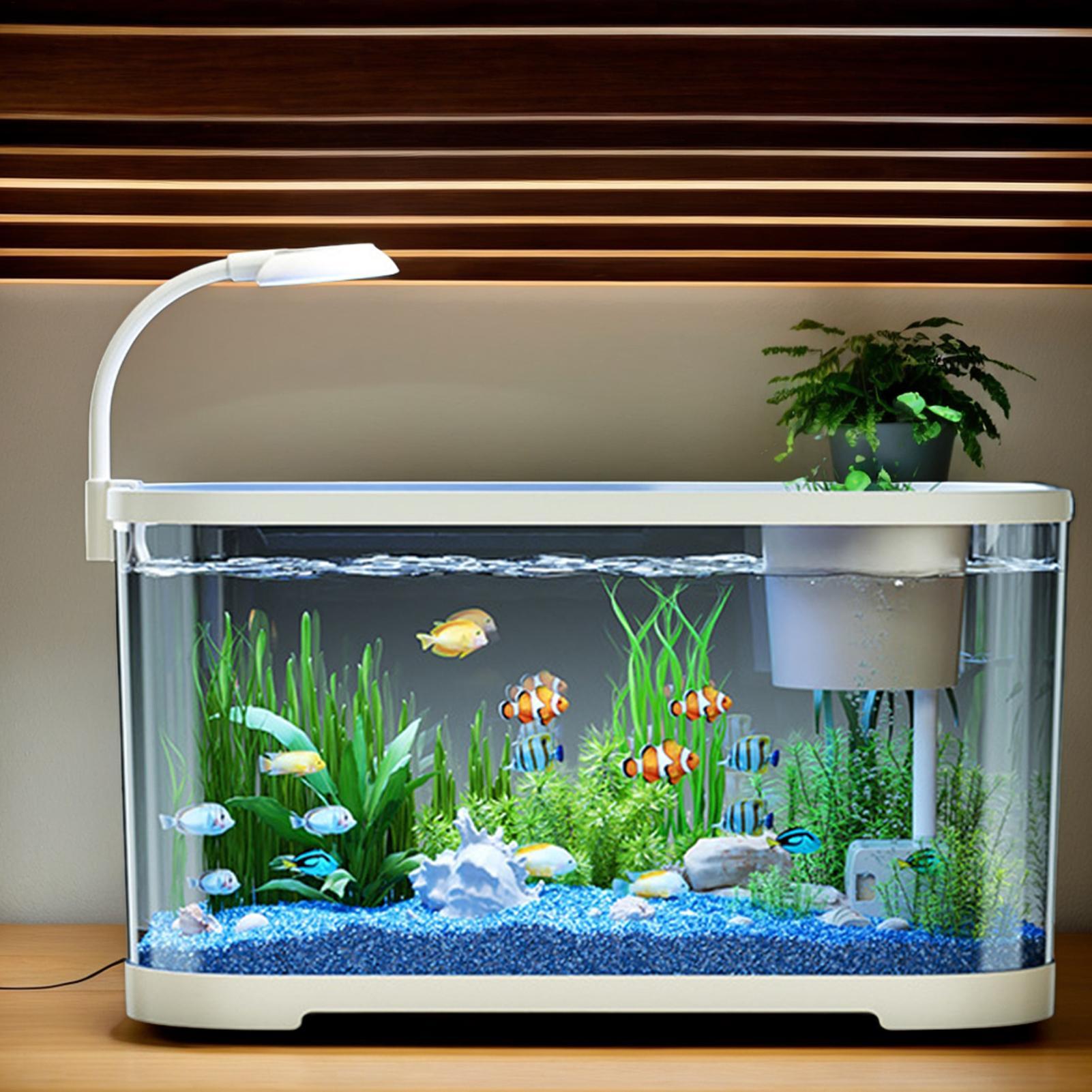 Aquarium Kit Starter Betta Fis - Aquarium Fish For Beginners review and price