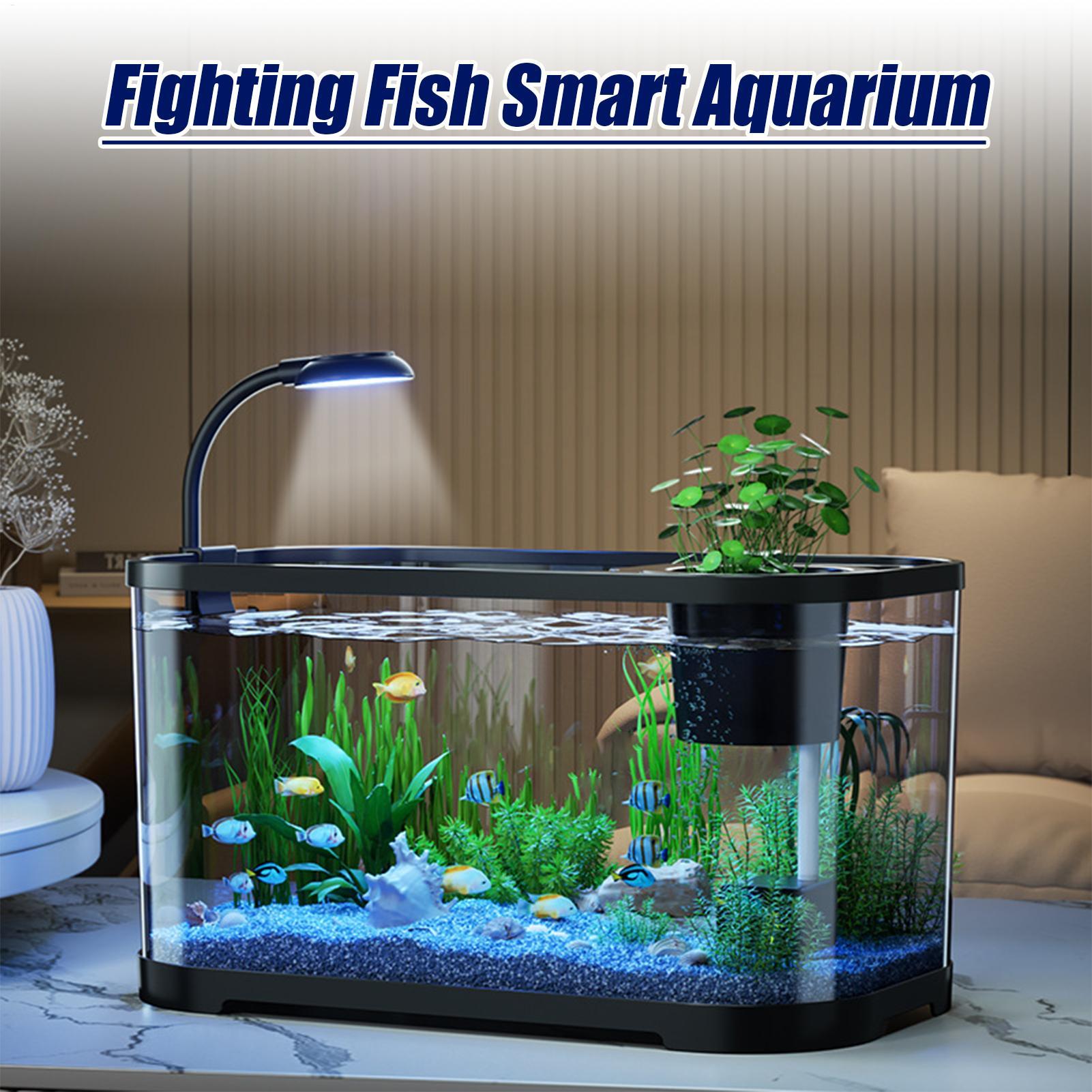 Aquarium Kit Starter Betta Fis - Aquarium Fish For Beginners review and price