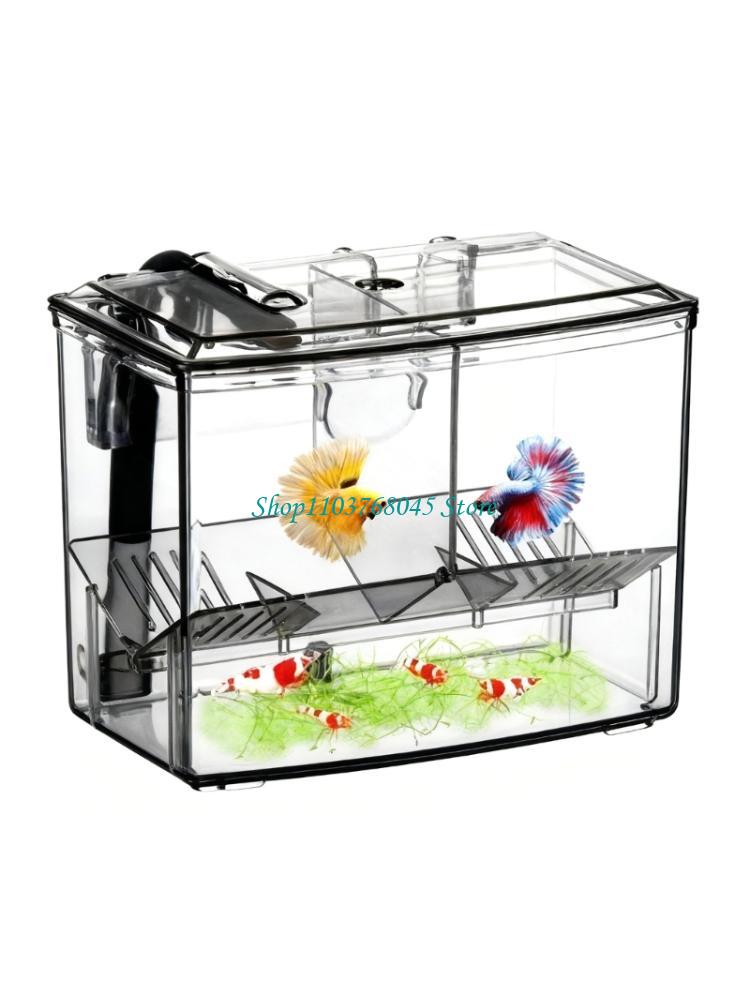 R53F External Fish Breeding Bo - Box Fish In Aquarium review and price