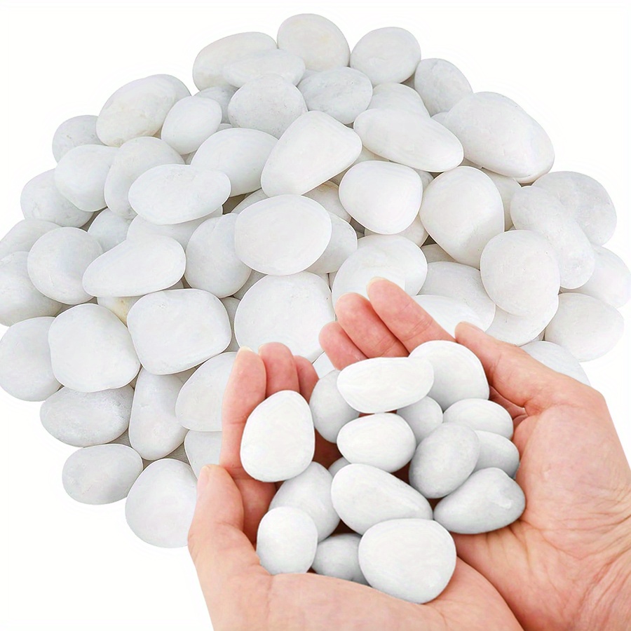 200/400g White High Polished N - Aquarium Fish Saltwater review and price