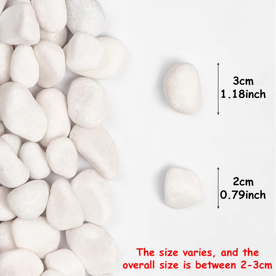 200/400g White High Polished N - Aquarium Fish Saltwater review and price