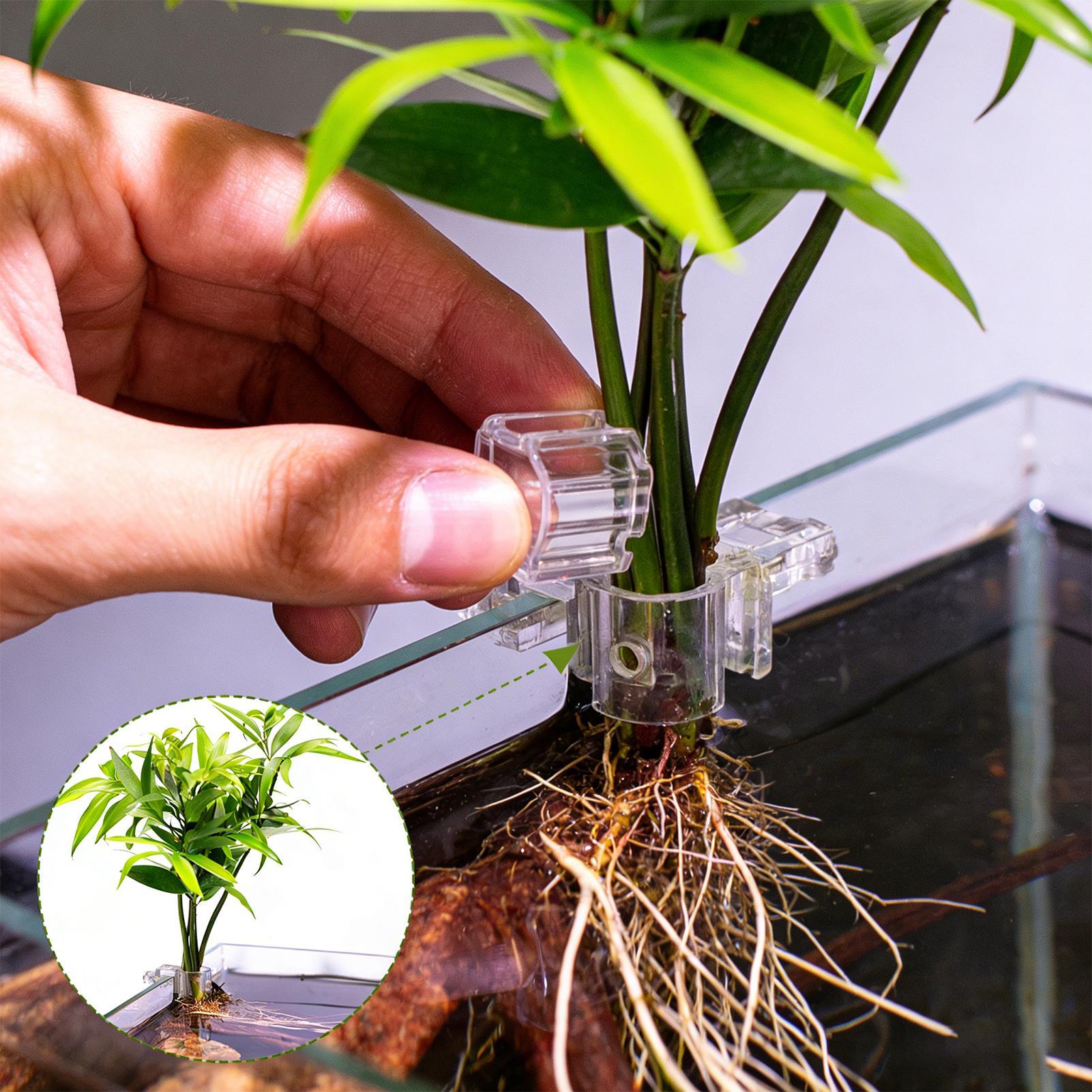 Mini Fish Tank Planter Pot 6Pc - Aquarium Fish Elevator review and price