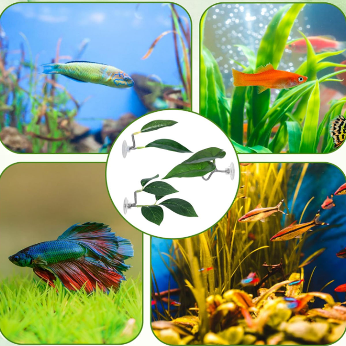 1 PC Betta Fish Hammock Soft A - Aquarium Fish Enrichment review and price