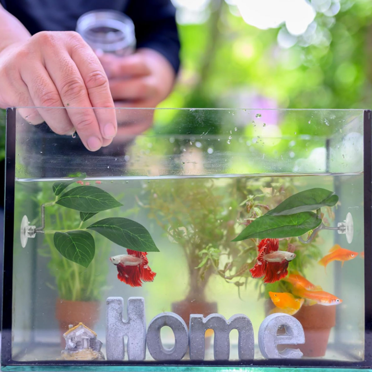 1 PC Betta Fish Hammock Soft A - Aquarium Fish Enrichment review and price