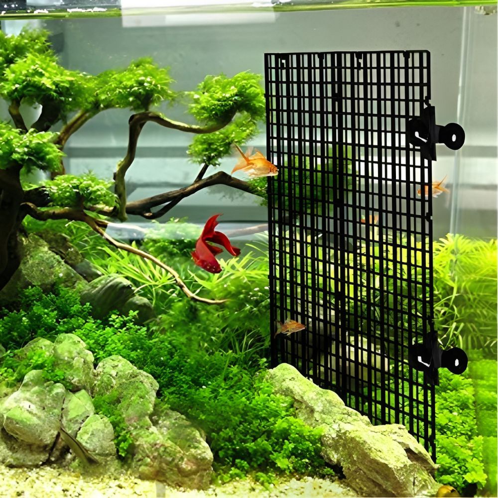 14pcs Black Plastic Aquarium G - Aquarium Fish Elevator review and price