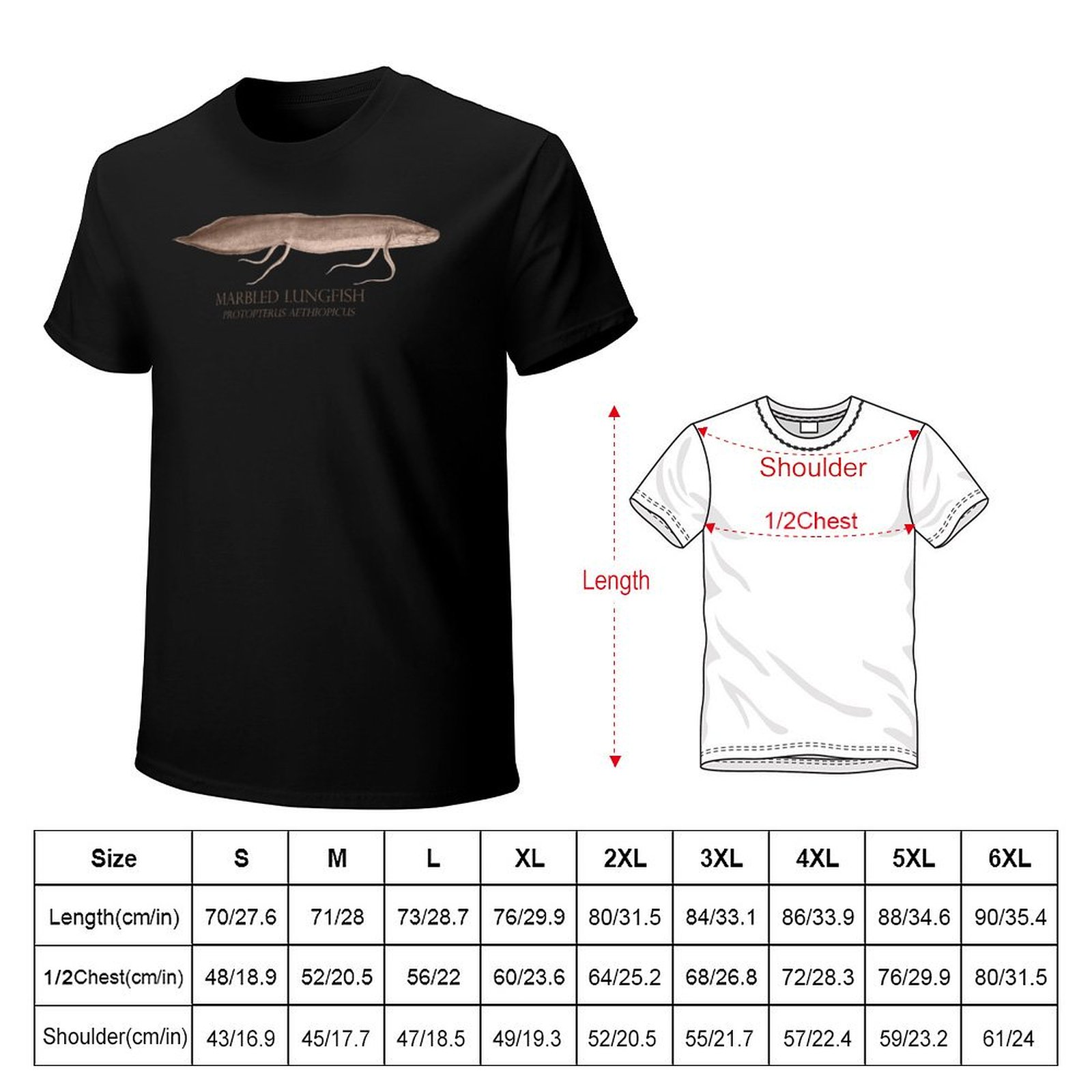Lungfish Protopterus Aquarium  - Aquarium Fish Monster review and price