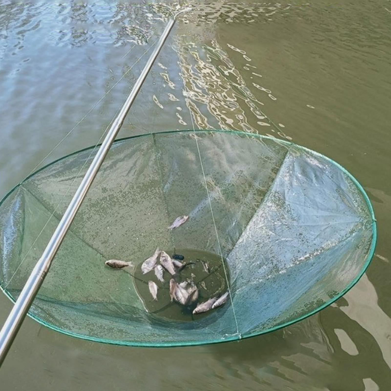 Soft Steel Hoop Pier Fishing N - Fish Net Handle review and price