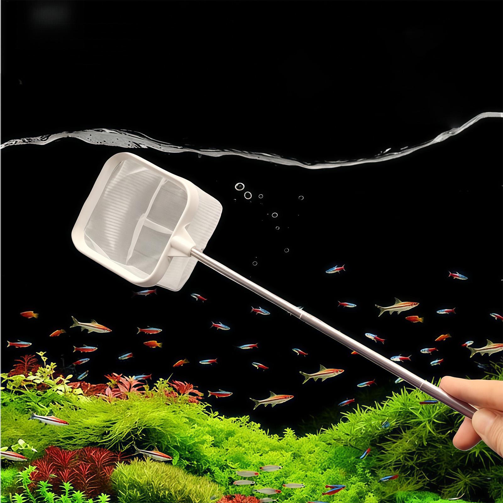 Extendable Long Handle Fine Me - Fish Net Handle review and price