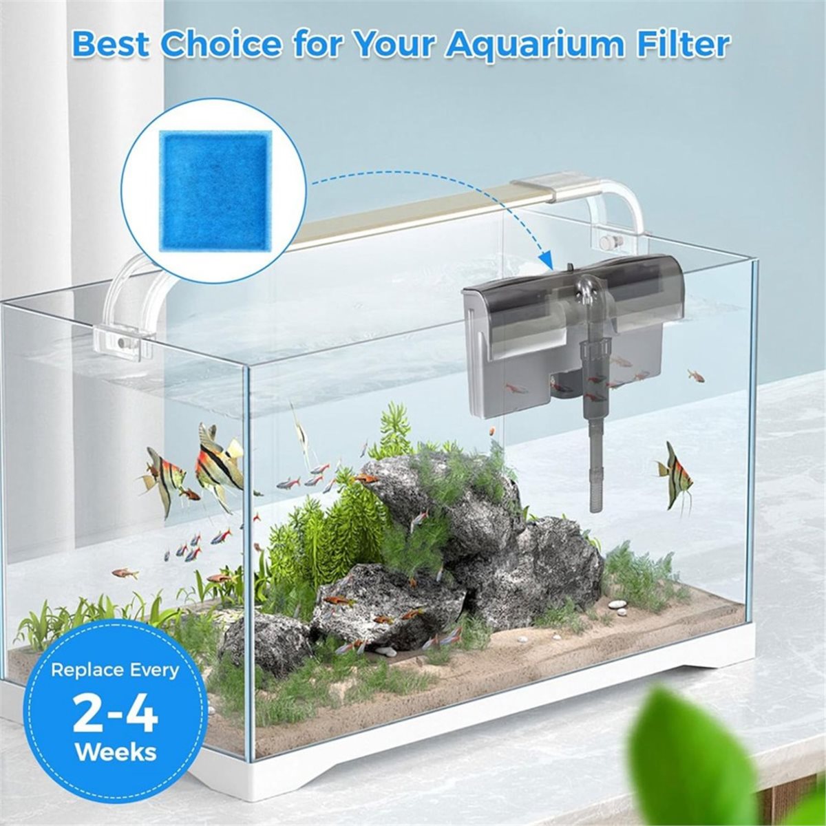 《TOP RATED》10 Pcs Aquarium Fil - Aquarium Fish Rate review and price