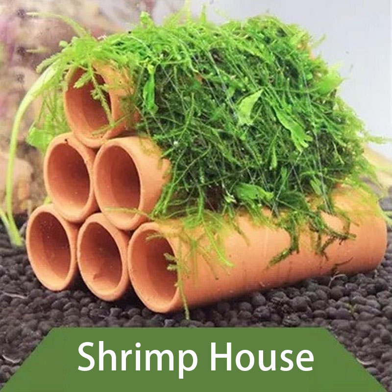 Clay Aquarium Decoration Fish  - Aquarium Fish Cartoon review and price
