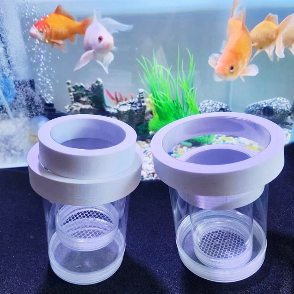 Plastic Floating Fish Breeding - Box Fish In Aquarium review and price