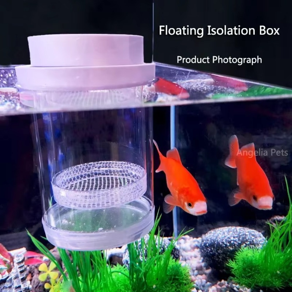 Plastic Floating Fish Breeding - Box Fish In Aquarium review and price