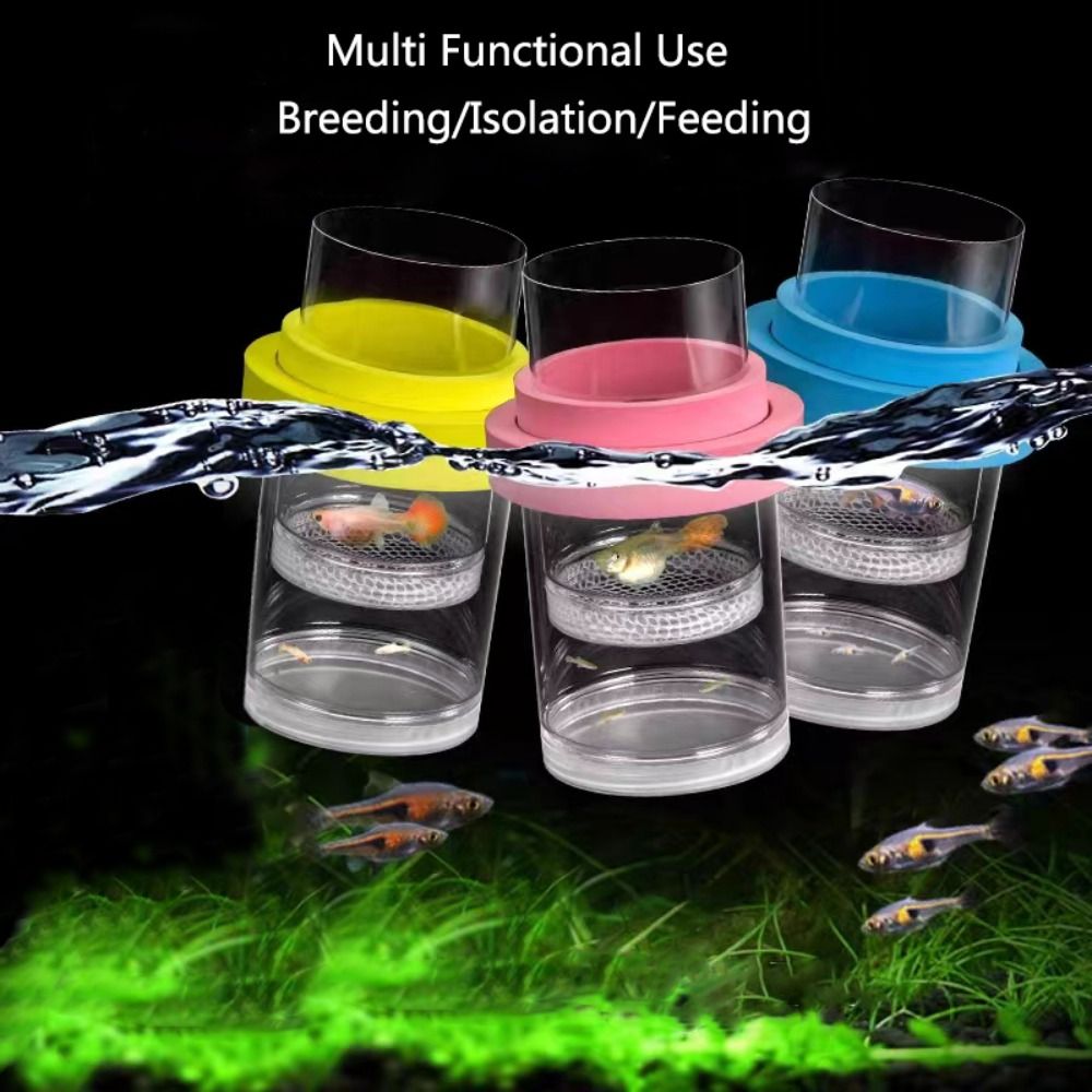 Plastic Floating Fish Breeding - Box Fish In Aquarium review and price