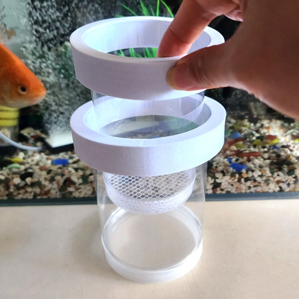 Plastic Floating Fish Breeding - Box Fish In Aquarium review and price