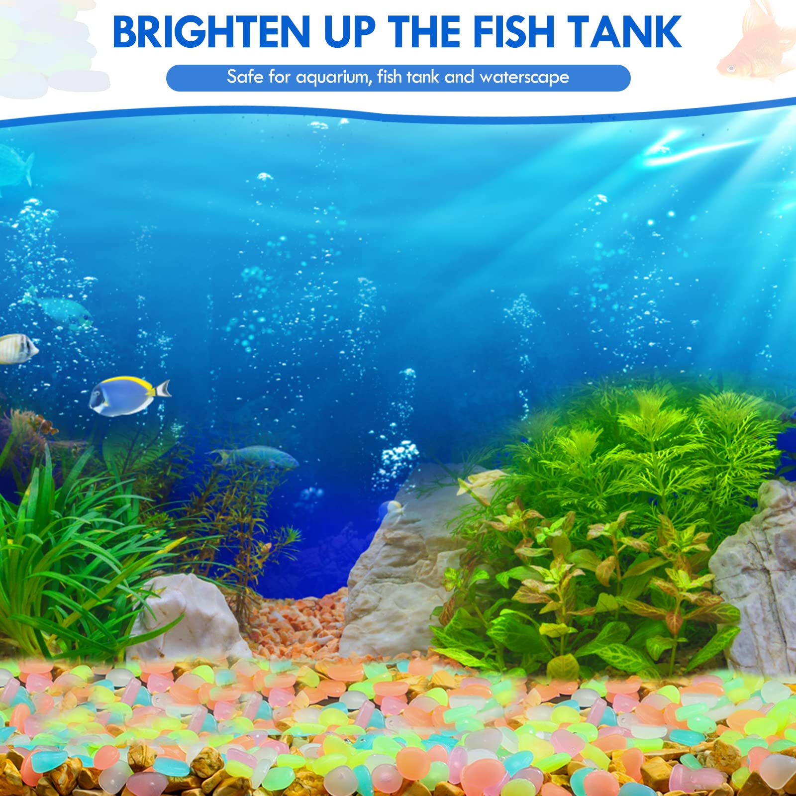 100Pcs Glow in the Dark Garden - Aquarium Fish Saltwater review and price