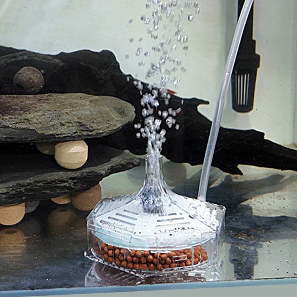 New Portable Aquarium Fish Tan - Aquarium Fish For Beginners review and price