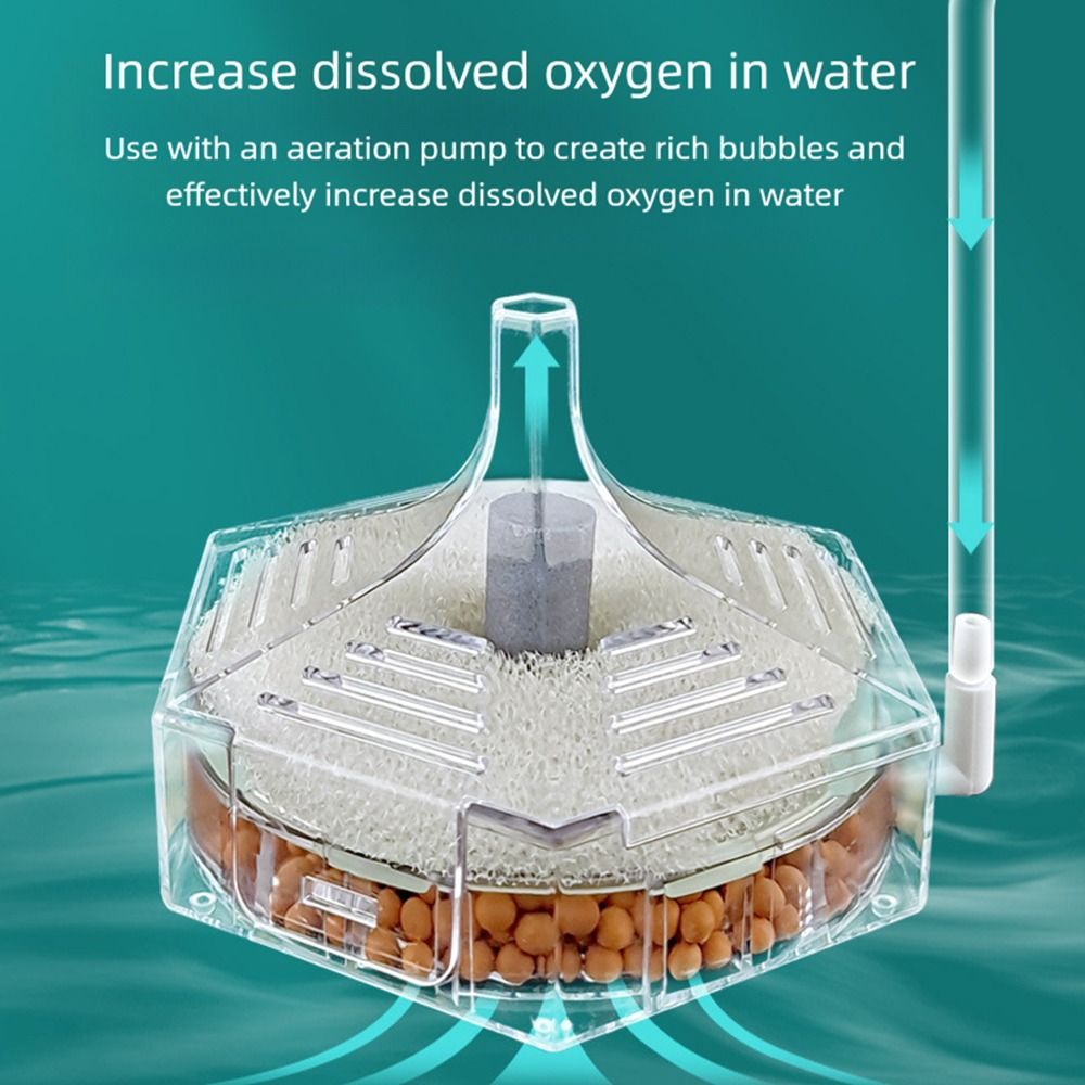 New Portable Aquarium Fish Tan - Aquarium Fish For Beginners review and price