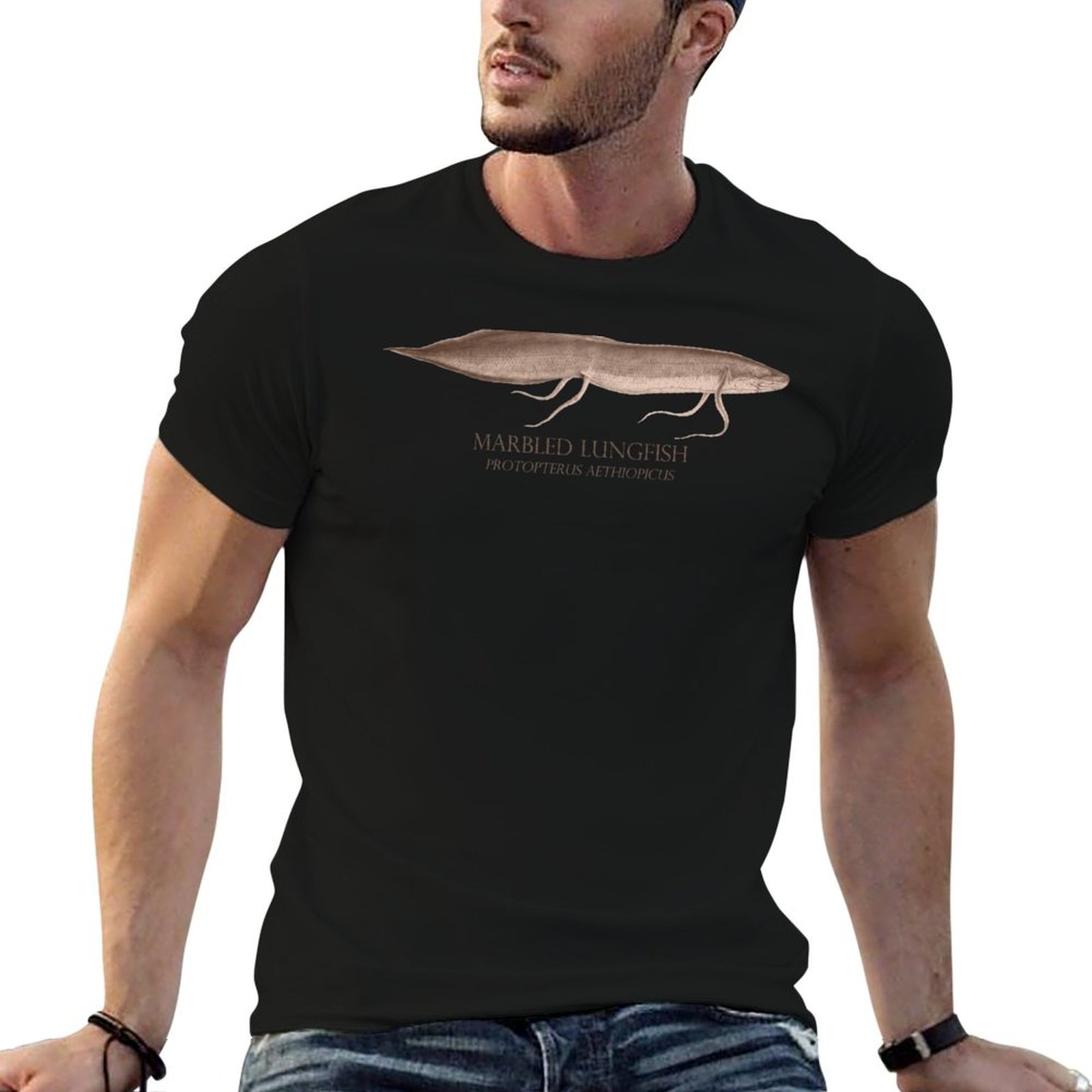Lungfish Protopterus Aquarium  - Aquarium Fish Monster review and price