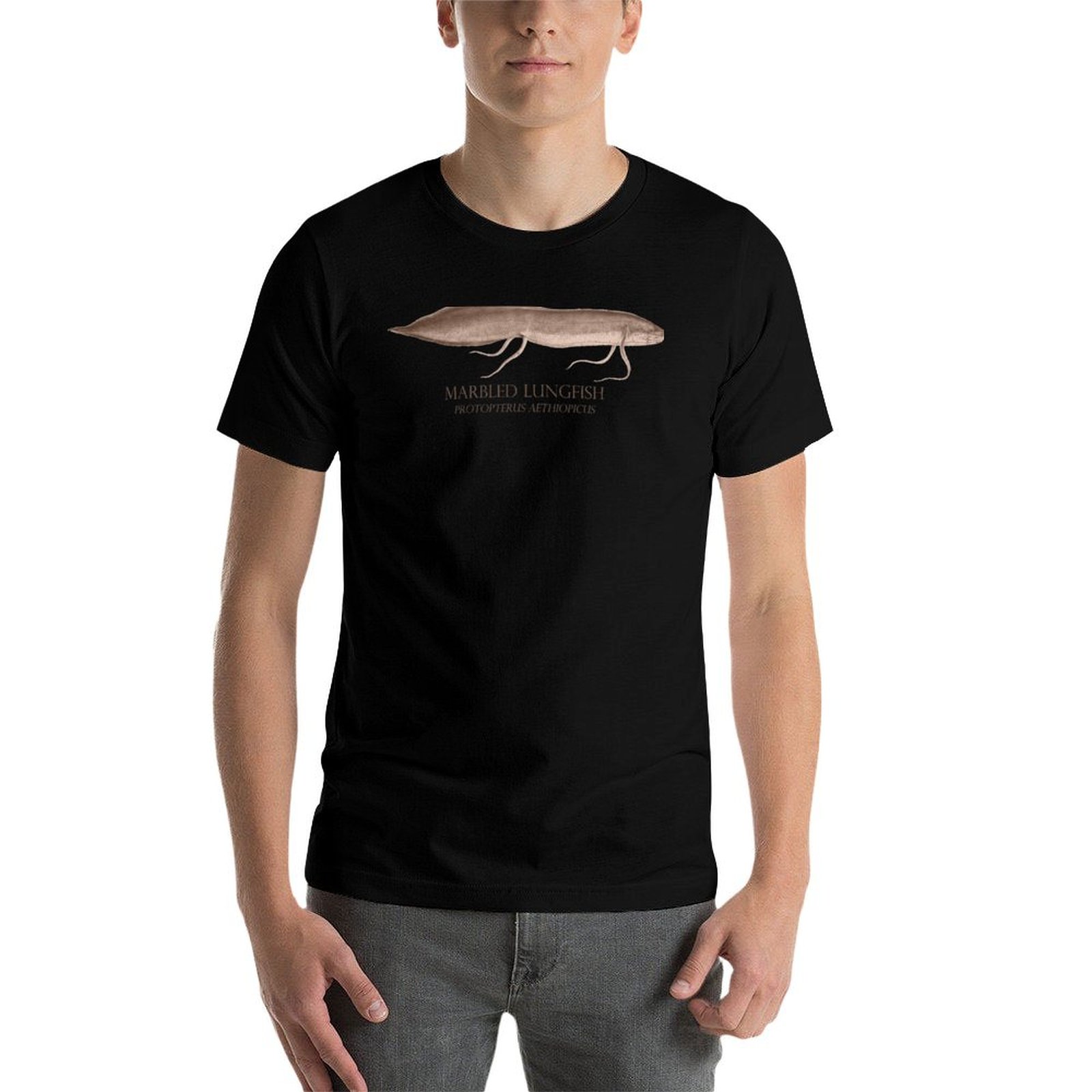 Lungfish Protopterus Aquarium  - Aquarium Fish Monster review and price