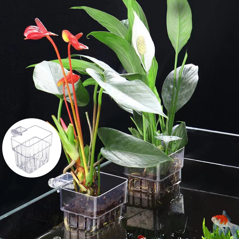 Multifunctional Fish Aquarium  - Box Fish In Aquarium review and price