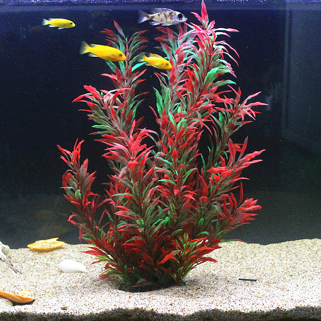 50CM Artificial Fish Tank Rare - Aquarium Fish Saltwater review and price
