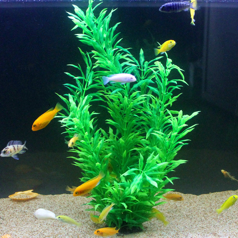 50CM Artificial Fish Tank Rare - Aquarium Fish Saltwater review and price
