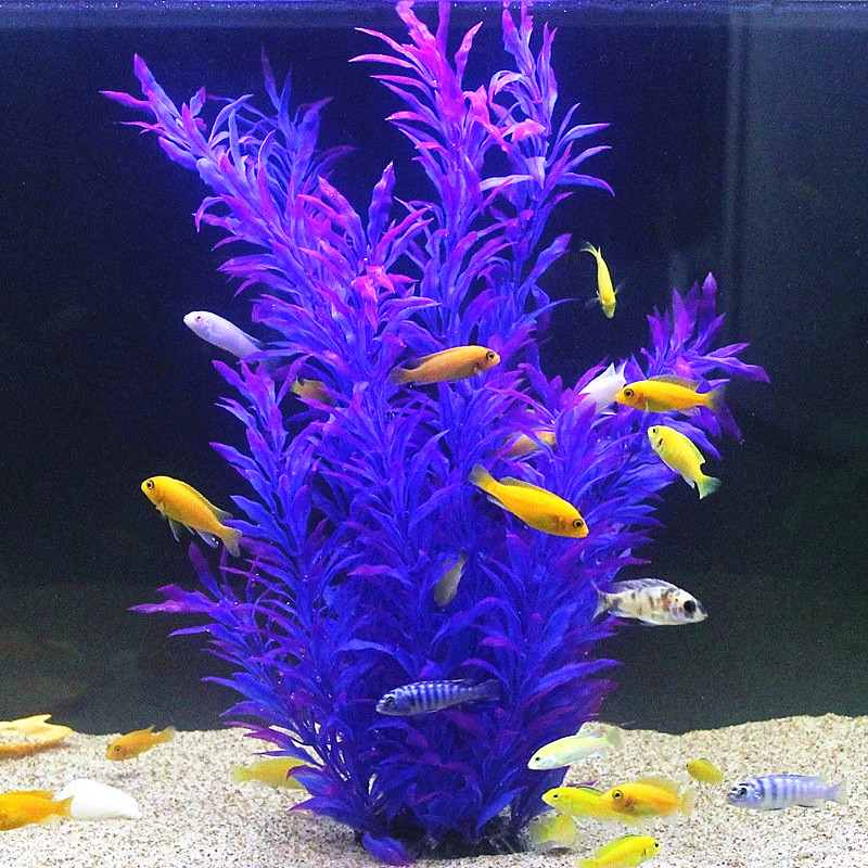 50CM Artificial Fish Tank Rare - Aquarium Fish Saltwater review and price