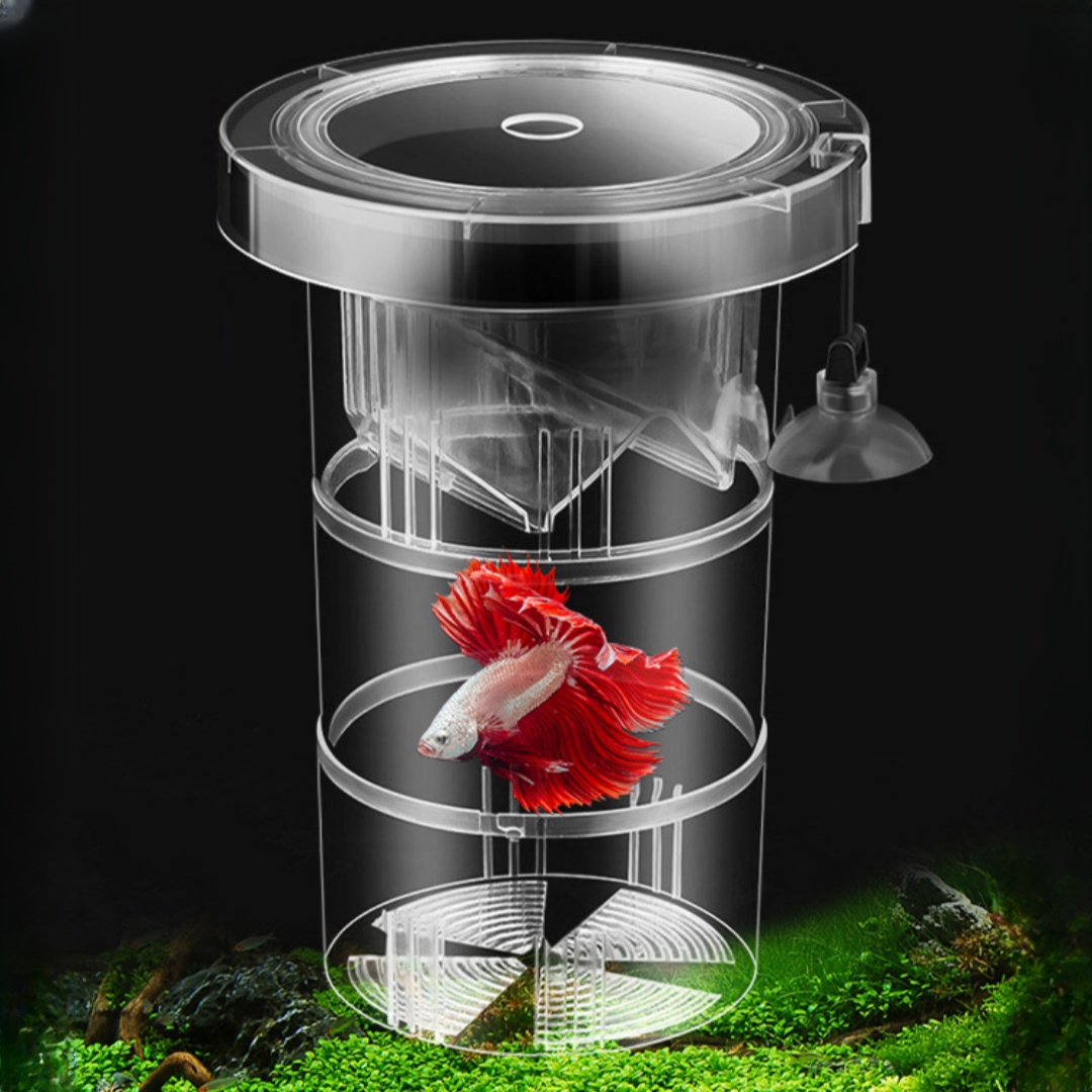 Acrylic Floating Fish Breeding - Box Fish In Aquarium review and price